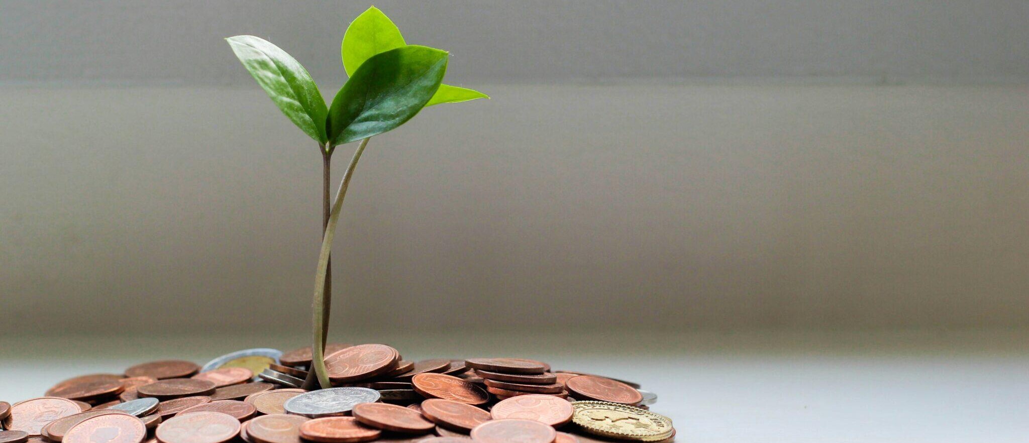 financial